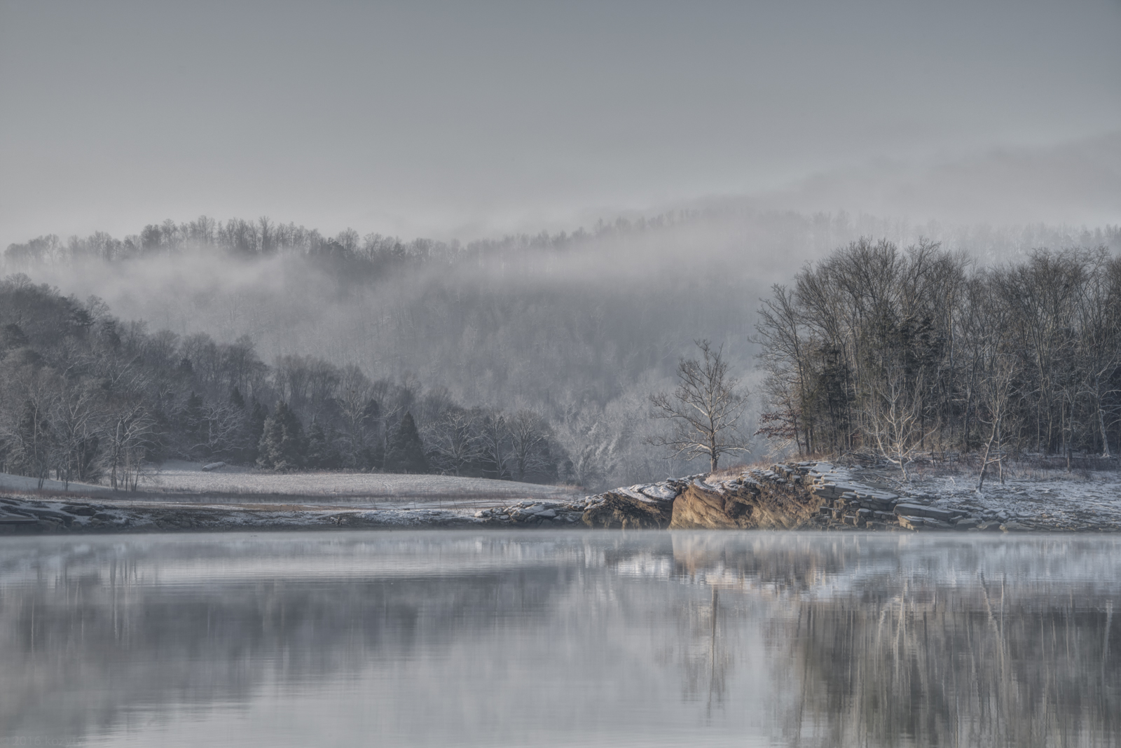 Norris Winter